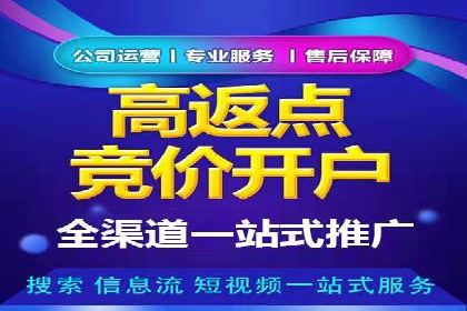 百度品牌专区推广：打造品牌形象的新途径